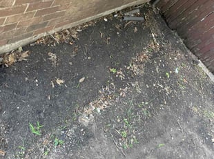 Judith S.'s Leaf Removal service result