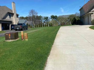 Rashida P.'s Lawn Mowing service result