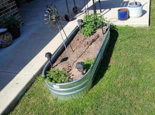 Weeding by Anjalise Duran for Mimi R. in Haslet, TX