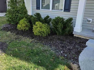 Bush Trimming by Thomas Abney for Brannon B. in Barberton, OH