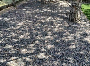 Cleanups by Franyelis Irimar Marquez Martinez for Mitch M. in Castle Rock, CO