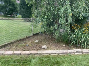 Weeding by Jose Sanchez for Joseph W. in Aurora, IL