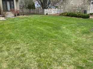 Cleanups by Don Hansen for Jake T. in Maple Grove, MN