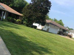 Paola M.'s Grass Cutting service result
