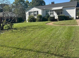 Wyndy M.'s Lawn Mowing service result