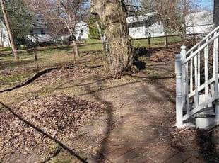Leaf Removal by Raymond Roberts for Dhafer A. in Coon Rapids, MN