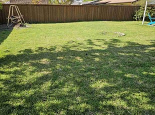 Cleanups by Jason Reyes for Emily F. in Irving, TX