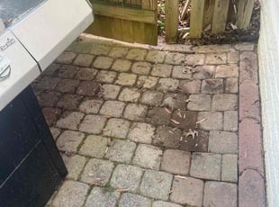 Leaf Removal by Gilbert Osorio for Donald T. in Woodbridge, VA