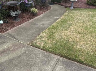 Weeding by Cordarin Collier for James B. in Marietta, GA