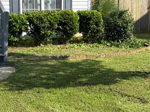 Tracie E.'s Bush Trimming service result