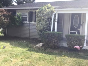 Caroline L.'s Bush Trimming service result
