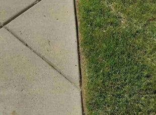 Eric C.'s Lawn Mowing service result