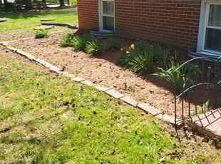 Leaf Removal by Daniel Meehan for Alex J. in Randallstown, MD