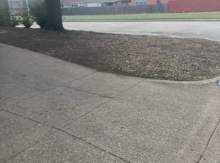 Leaf Removal by Vincent Hajek for Garrett H. in Fort Worth, TX