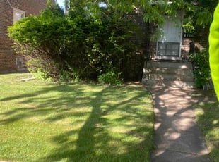 Shatrinia E.'s Lawn Mowing Service service result