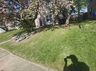 Tahtianna W.'s Lawn Mowing Service service result