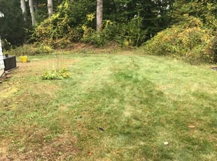 Leaf Removal by Lionel Foster for Claude F. in Windsor, CT