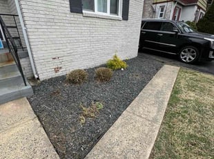Cleanups by Jairon Villagran for Morgan C. in Silver Spring, MD
