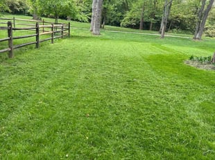 Todd b.'s Lawn Mowing Service service result