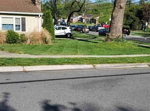 Katelyn R.'s Lawn Service service result