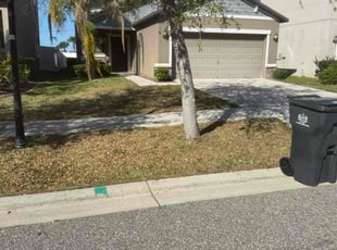 Bush Trimming by William Chavers for Justin H. in Ruskin, FL