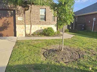 Mallarie B.'s Bush Trimming service result