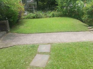 Novella W.'s Lawn Maintenance service result