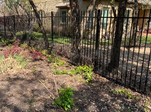 Landscaping by Hector Espinosa for Brittany G. in Austin, TX