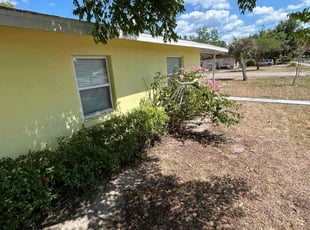 Bush Trimming by Antonio (Anthony) Fernandez for Emma N. in Zephyrhills, FL