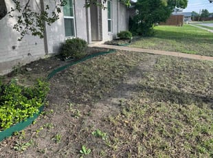 Cleanups by Maria Hernandez for Roland S. in Carrollton, TX