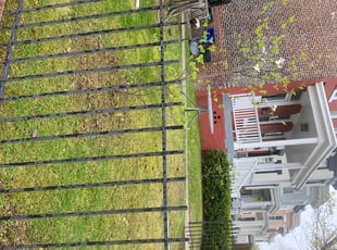 Cleanups by Caree Keith for Dominic C. in Washington, DC