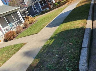 Leaf Removal by Jacob Jumper for Linda M. in Grand Rapids, MI
