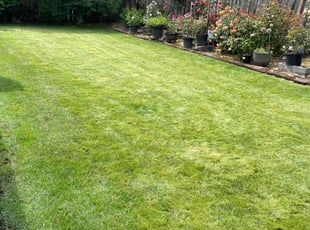 Erin S.'s Lawn Maintenance service result