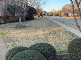 Leaf Removal by Justin Power for Janard S. in Roanoke, TX