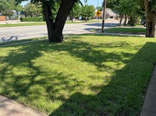 Cody D.'s Lawn Maintenance service result