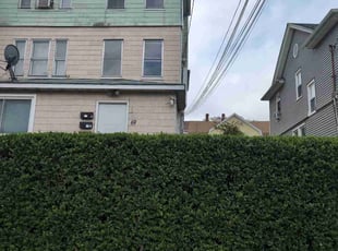 Bush Trimming by Orlando Roche for Dion L. in Waterbury, CT