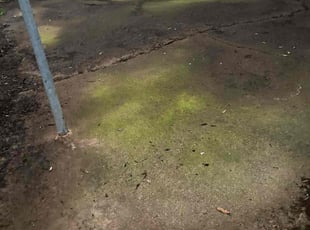 Leaf Removal by Brett Williams for Threcia R. in Mesquite, TX