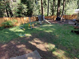 Leaf Removal by Jed Wilson for Som I. in Sammamish, WA
