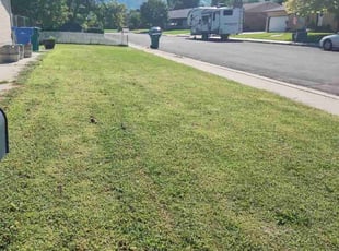 Joseph D.'s Lawn Care service result