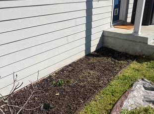 Weeding by Brandon Miller for Amber D. in Washington, DC
