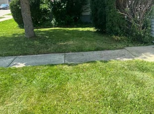 Bush Trimming by Jocelyn Wilson for Joseph b. in Warren, MI