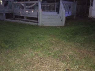 Cleanups by Michael Cherry for Alexandra S. in Charlotte, NC