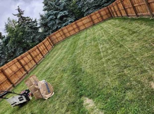 Cleanups by Dylan Hannah for Stephanie B. in Columbus, OH