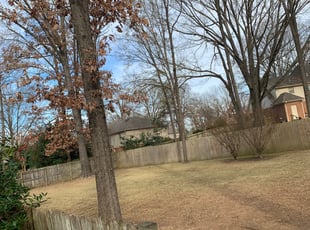 Cleanups by Daniel Castellanos for Paul D. in Germantown, TN