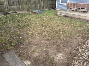 Leaf Removal by Tommie Long for Kristen B. in Indianapolis, IN