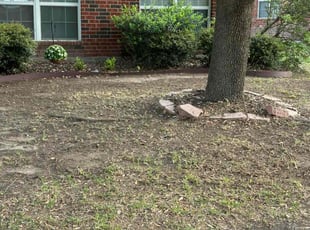 Cleanups by Philip Heinz for Bailee W. in Rowlett, TX