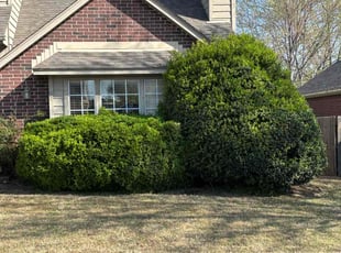Bush Trimming by Imunique Hill for Shawna L. in Broken Arrow, OK