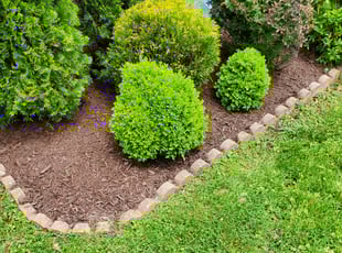 Mulching by Edwin Villagran for Amber Y. in Silver Spring, MD