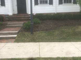 Cleanups by Kaharie Lewis for Amy S. in New Albany, OH