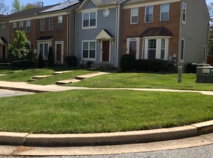 Bush Trimming by Kamonta Hackey for Sheriff T. in Silver Spring, MD